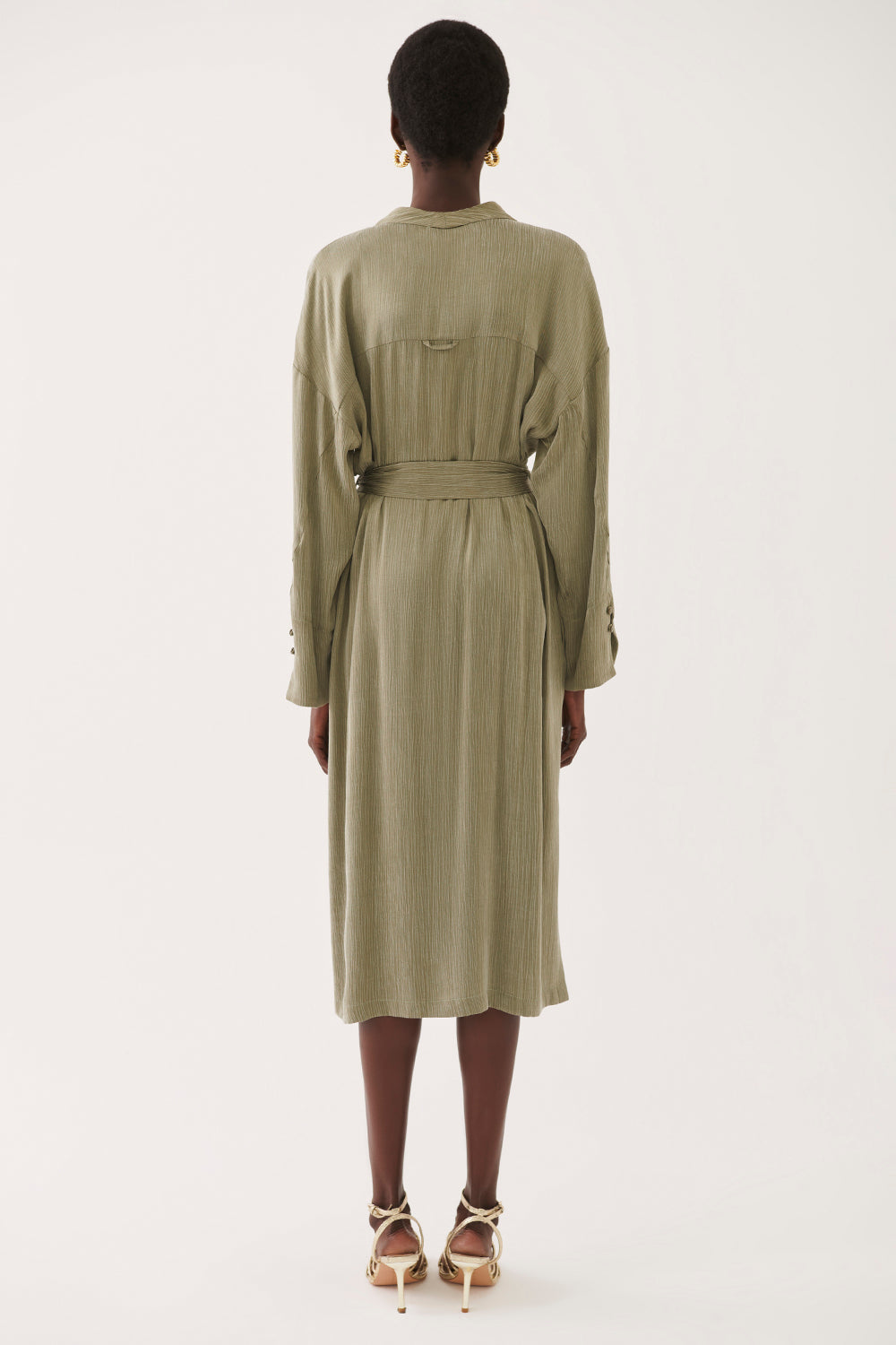 Delias Pareo Gjelbër 0041